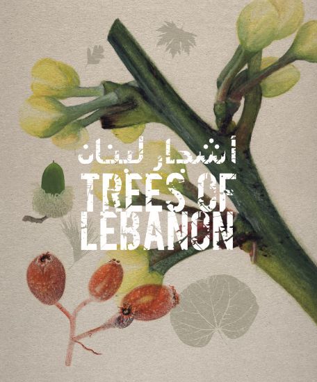 Picture of Trees of Lebanon