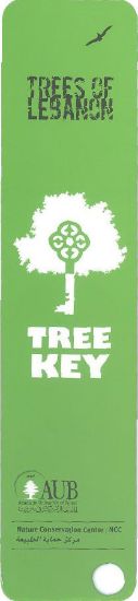 Picture of Tree Key